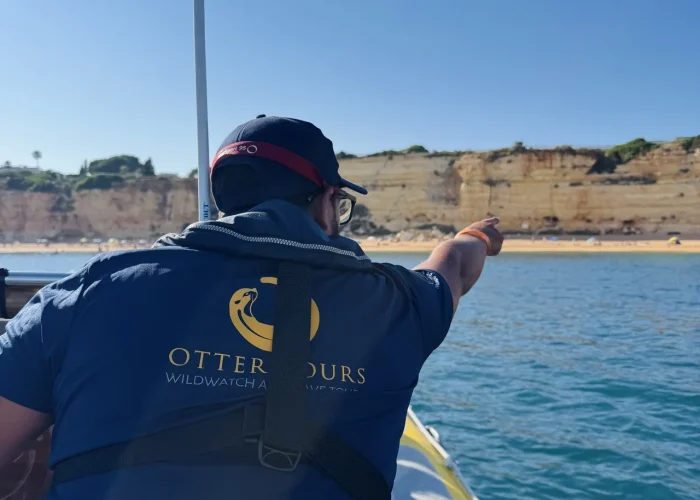 Algarve coastal rock formation – Otter Tours experience Rock formation along the Algarve coast near the sea caves, part of the Otter Tours boat tour scenery