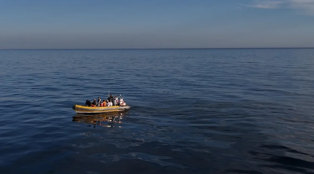 Otter Tours boat approaching the Algarve coastline with guests on board