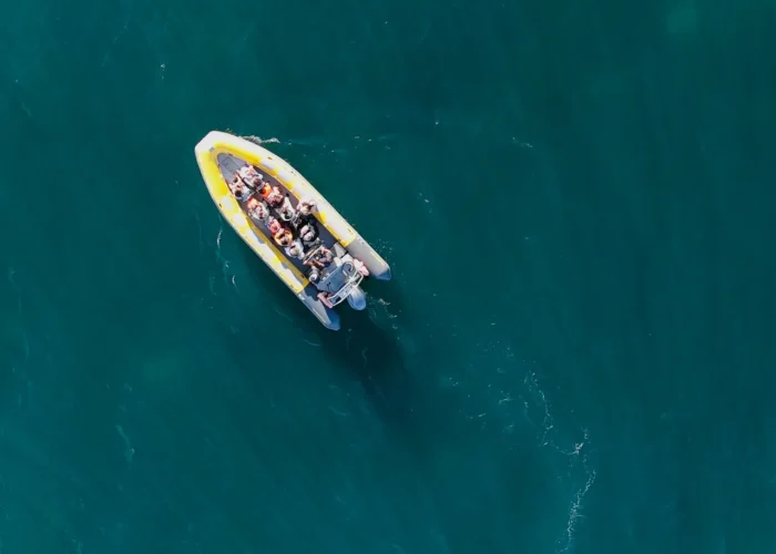 Otter Tours logo – ecotourism boat tours in the Algarve